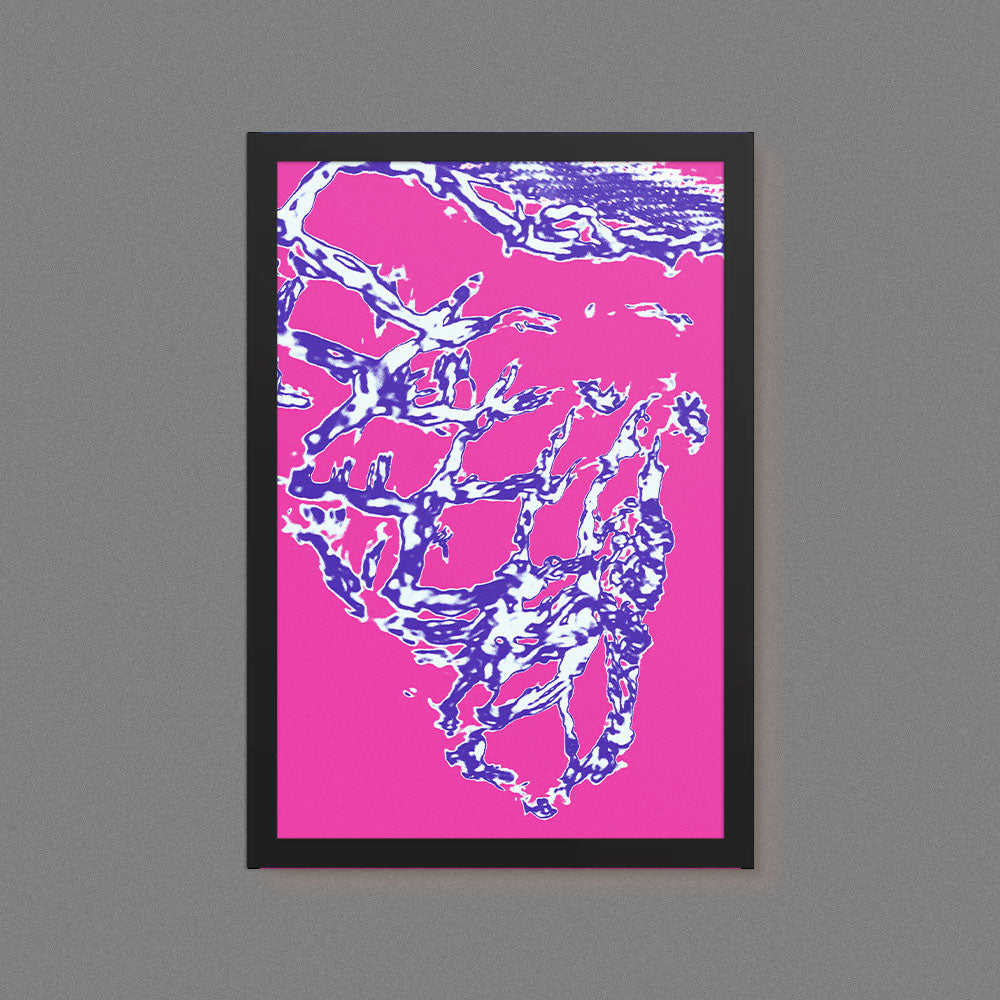Aqua