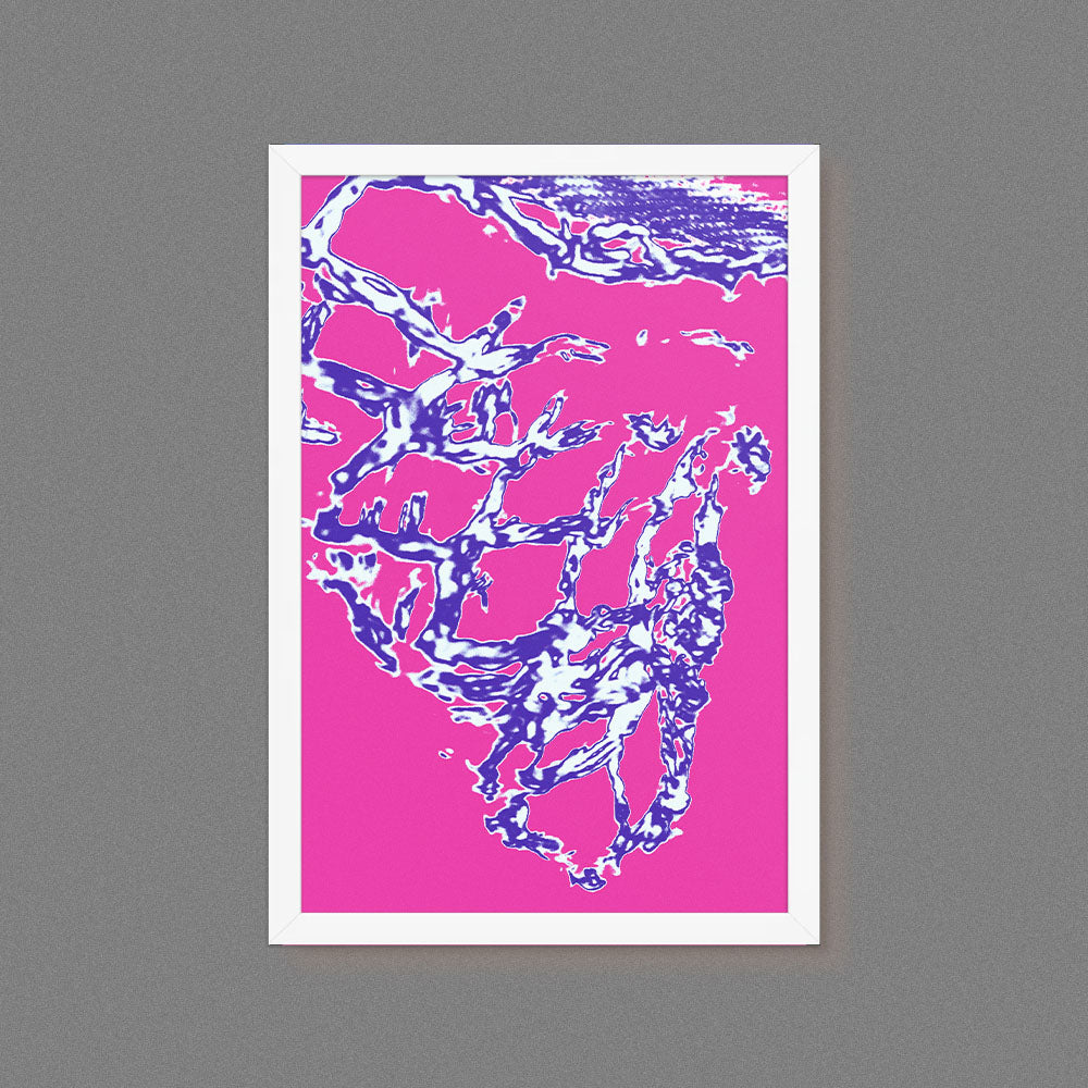 Aqua