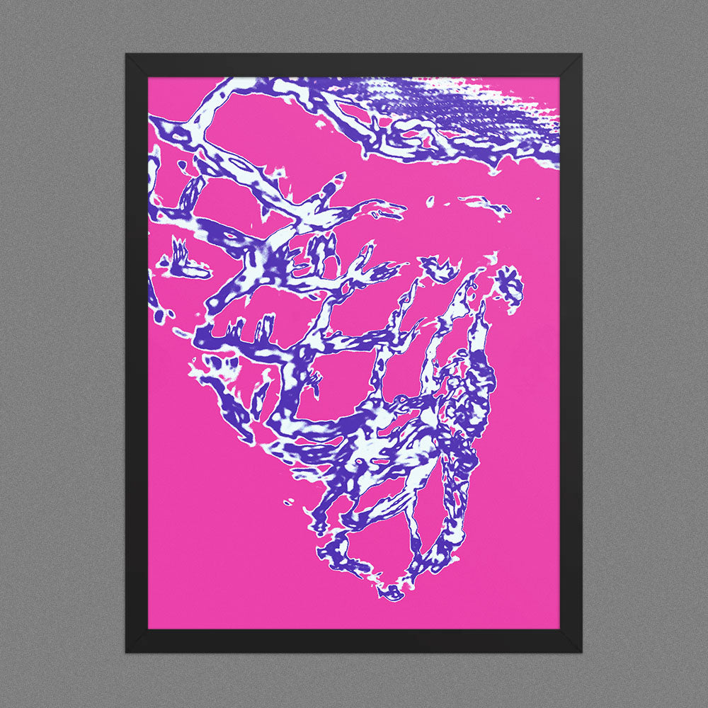 Aqua
