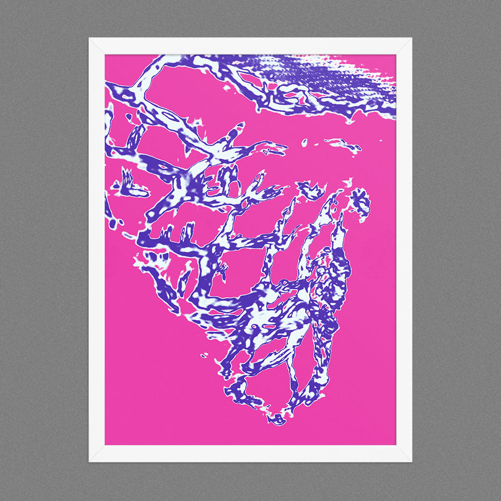 Aqua